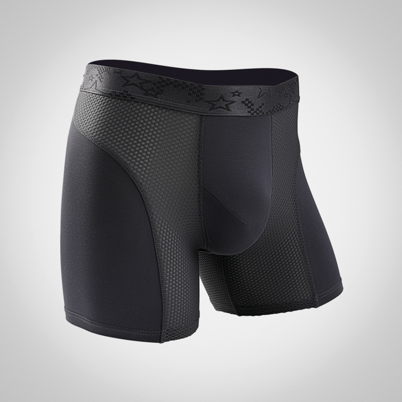 L-6XL Large Size Mens Mesh Mod - Mesh Sport Boxer recension och pris