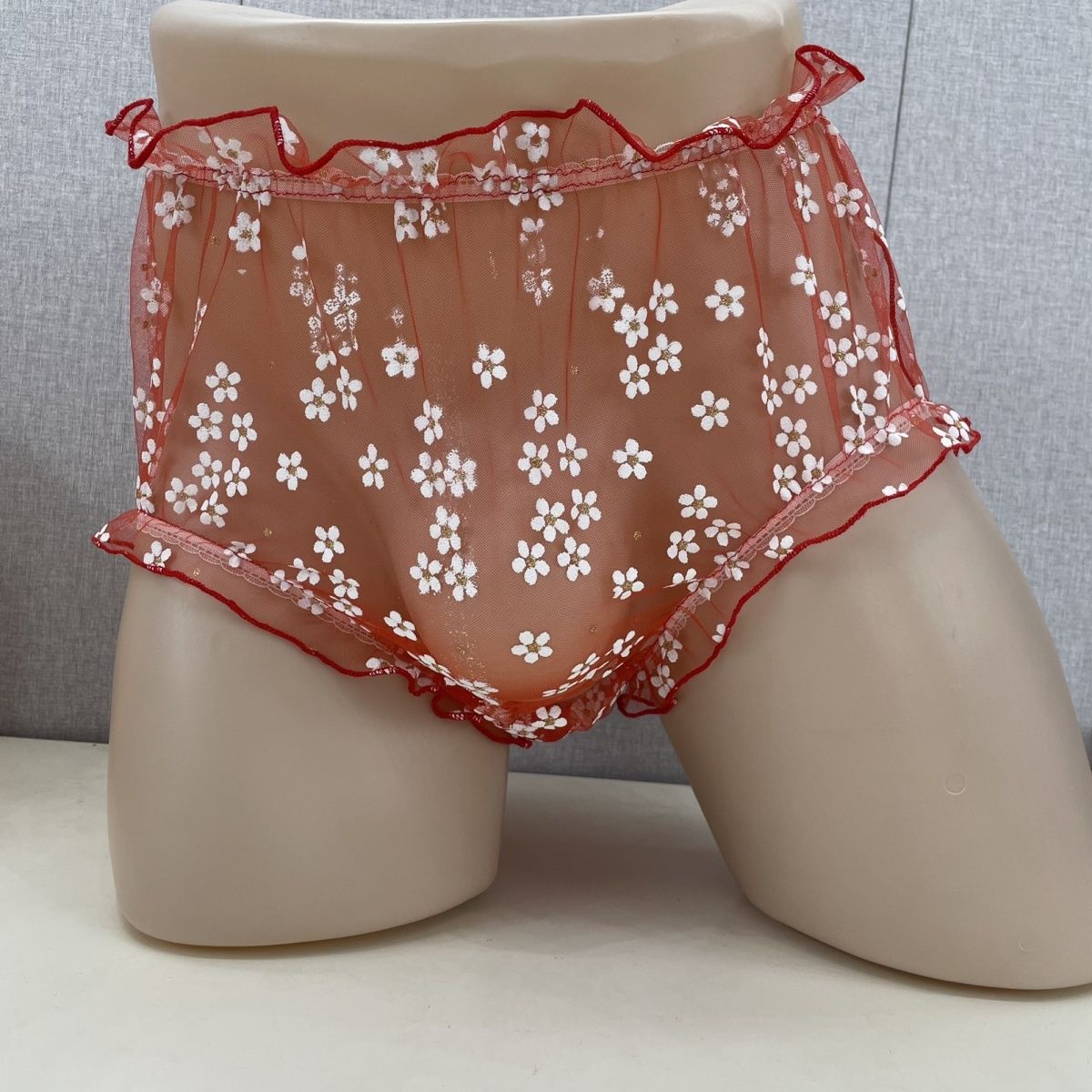 Mesh Men's Briefs Front Widene - Pouch Boxer Pouch recension och pris